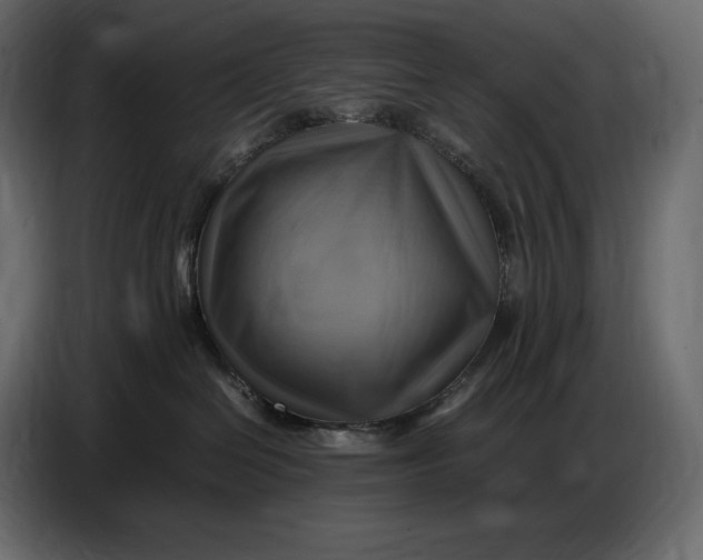 X0000087010286200705071532