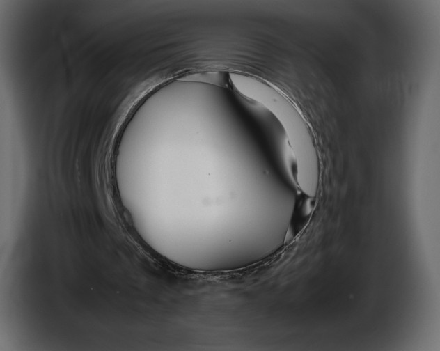 X0000087010289200705071531