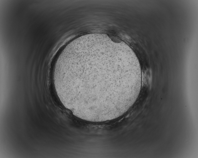 X0000087010291200705071531