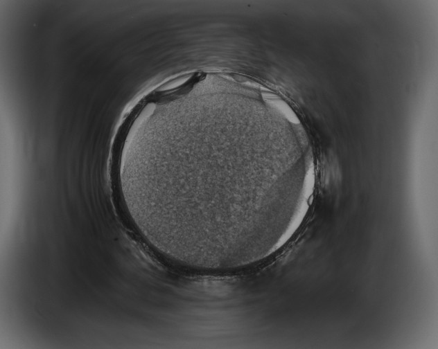 X0000087010292200705071531