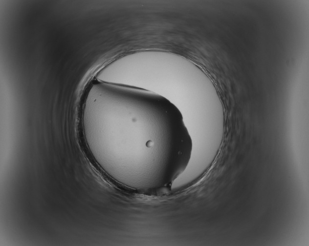 X0000087010293200705071531