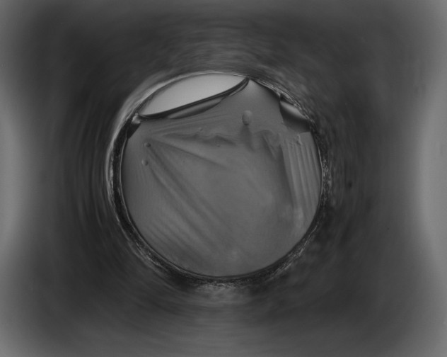 X0000087010294200705071531