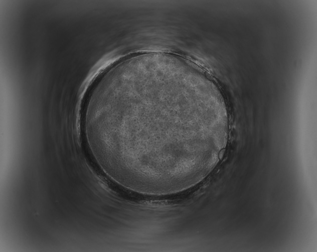 X0000087010296200705071531