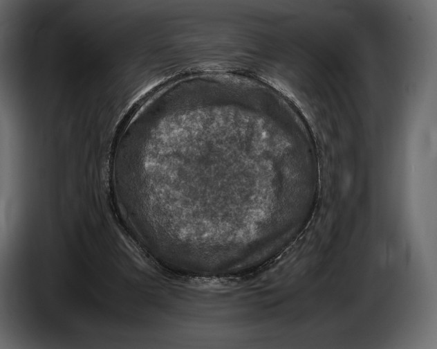 X0000087010297200705071531