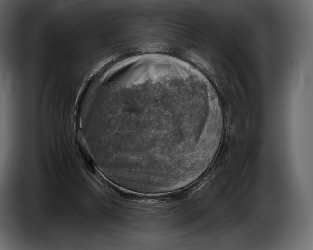 X0000087010298200705071531