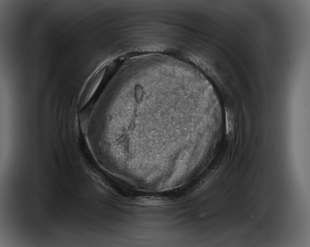 X0000087010300200705071531