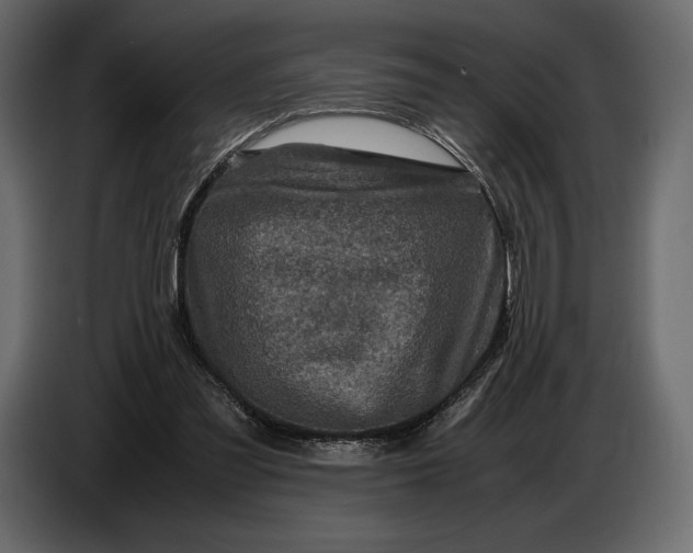 X0000087010301200705071531