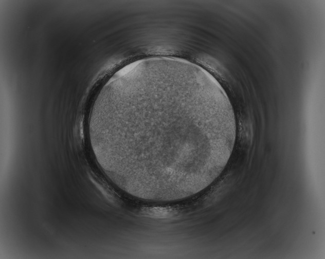 X0000087010302200705071531