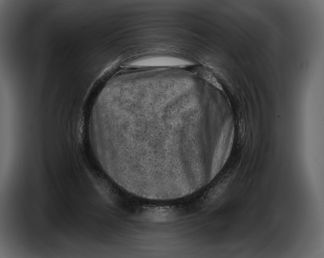 X0000087010304200705071531