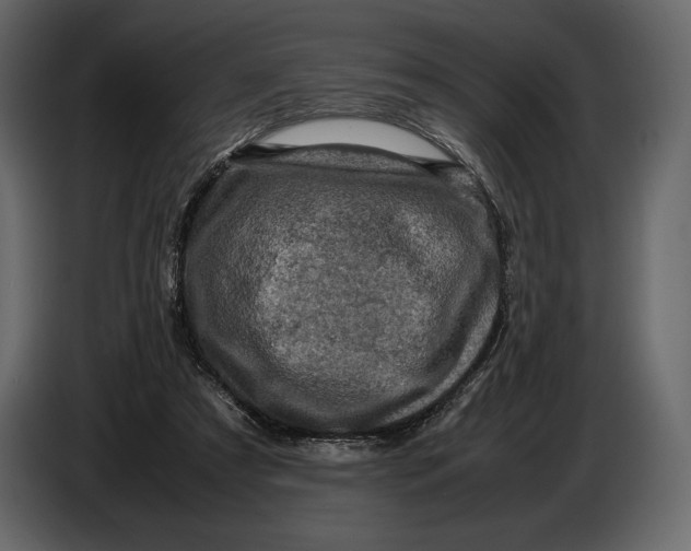 X0000087010305200705071531