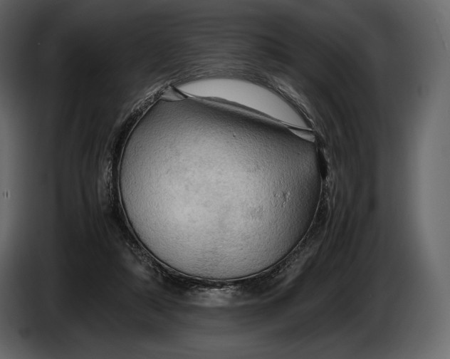 X0000087010306200705071531