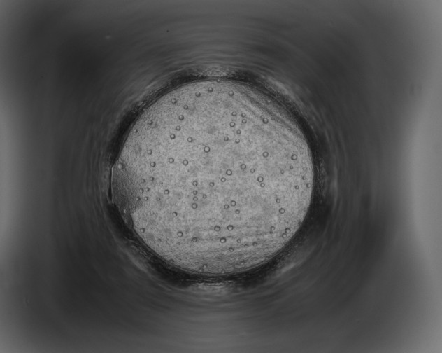 X0000087010307200705071531