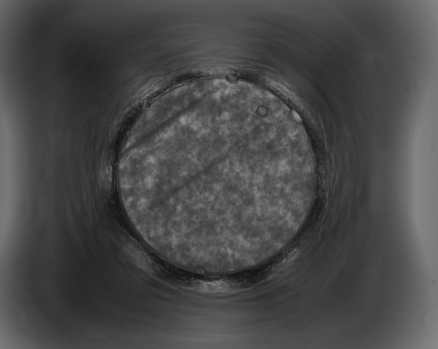 X0000087010309200705071531