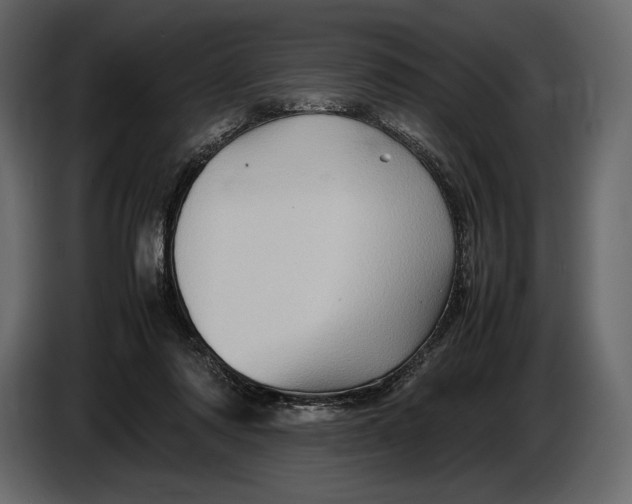 X0000087010310200705071531