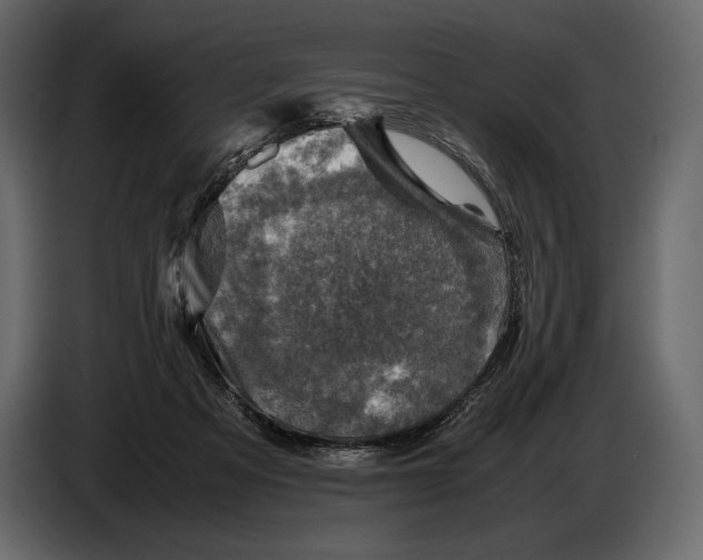 X0000087010313200705071531