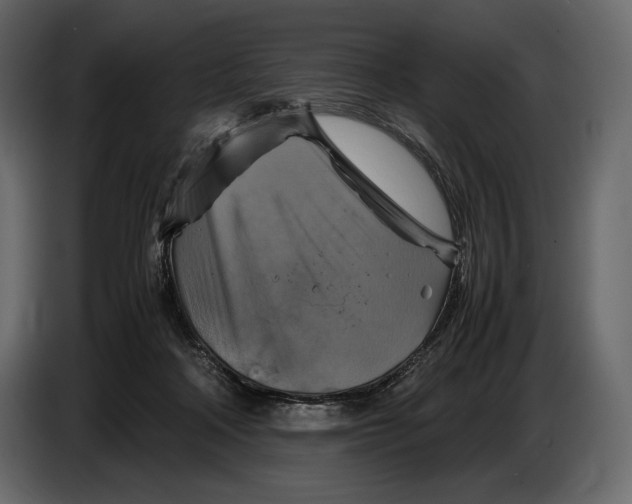 X0000087010314200705071531