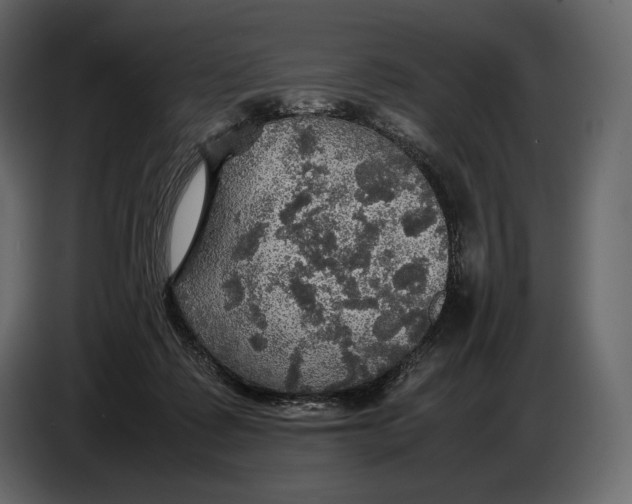 X0000087010315200705071531