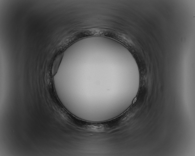 X0000087010317200705071531