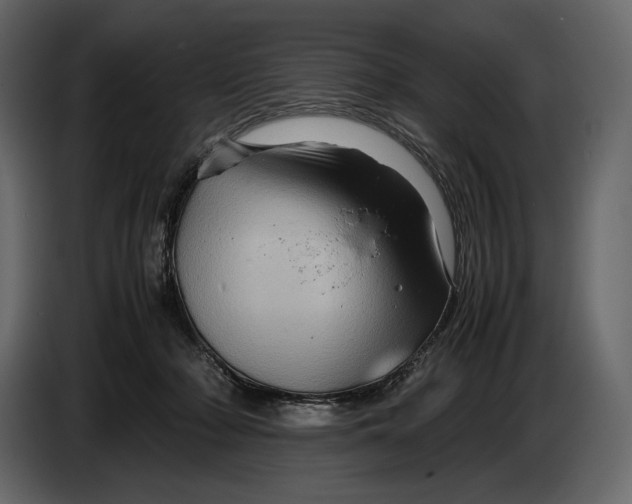 X0000087010318200705071531