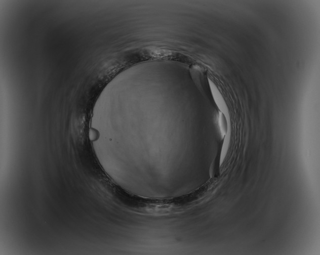 X0000087010319200705071531