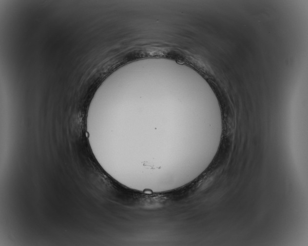 X0000087010321200705071531