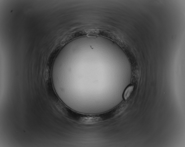 X0000087010323200705071531