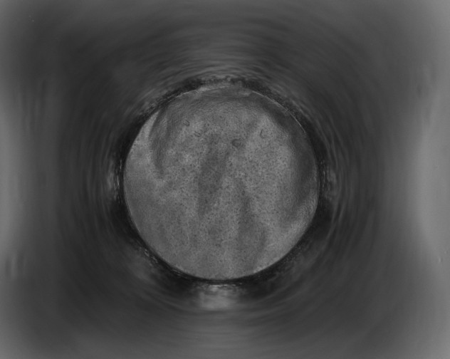 X0000087010324200705071531