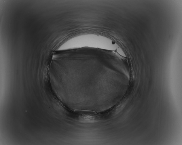 X0000087010325200705071531