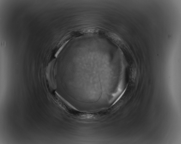 X0000087010326200705071531