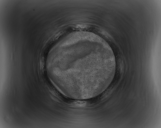 X0000087010328200705071531