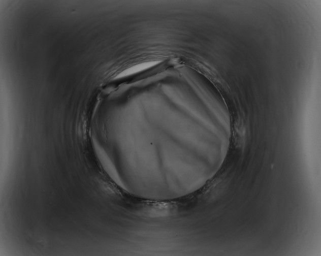 X0000087010330200705071531