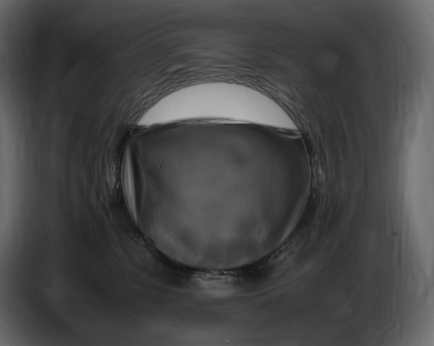 X0000087010331200705071531