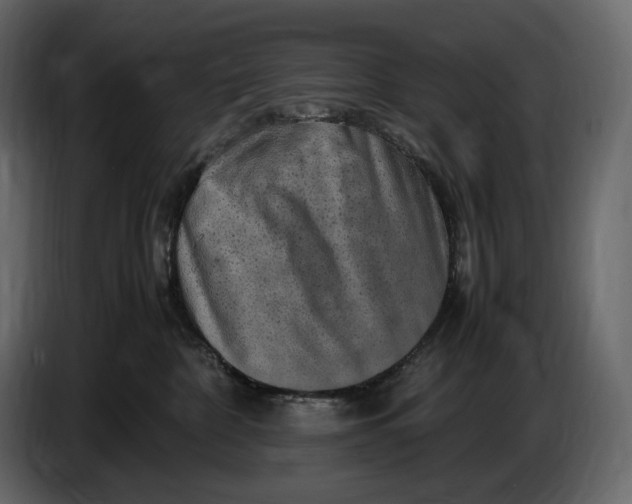 X0000087010332200705071531