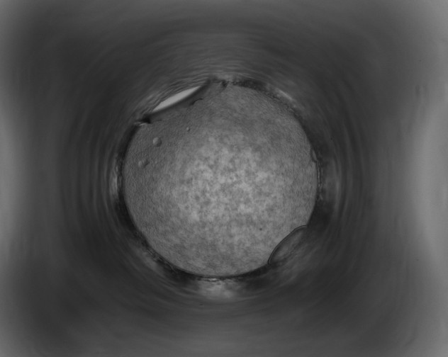 X0000087010334200705071531