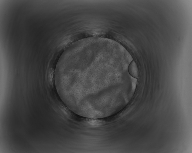 X0000087010336200705071531