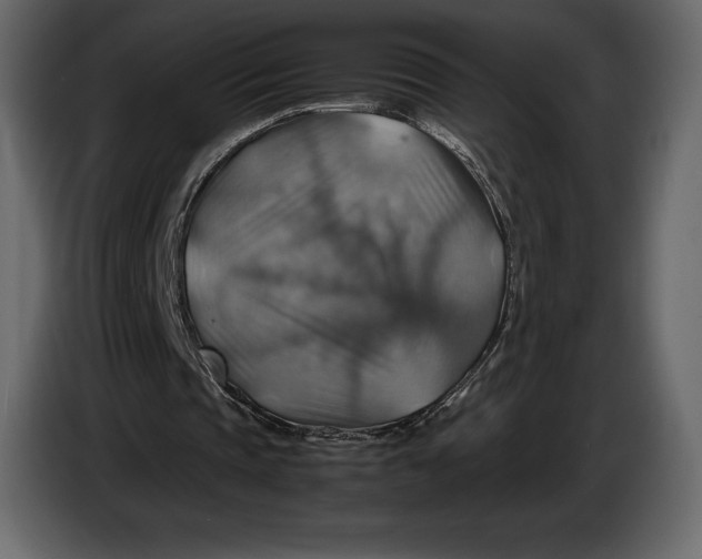 X0000087010337200705071530