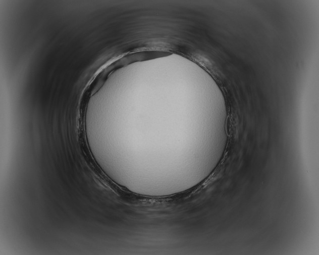 X0000087010338200705071530