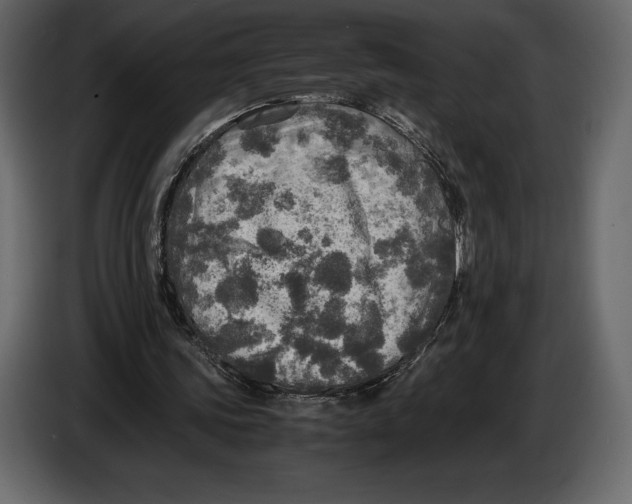 X0000087010339200705071530