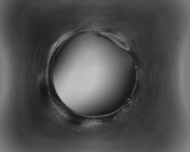 X0000087010340200705071530