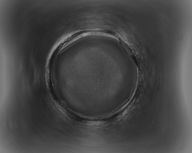 X0000087010342200705071530