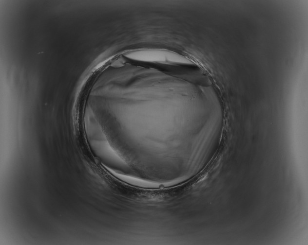 X0000087010343200705071530