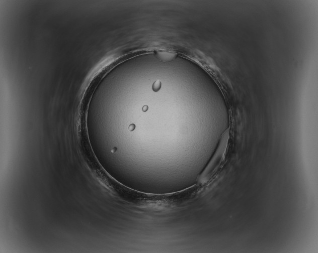 X0000087010344200705071530