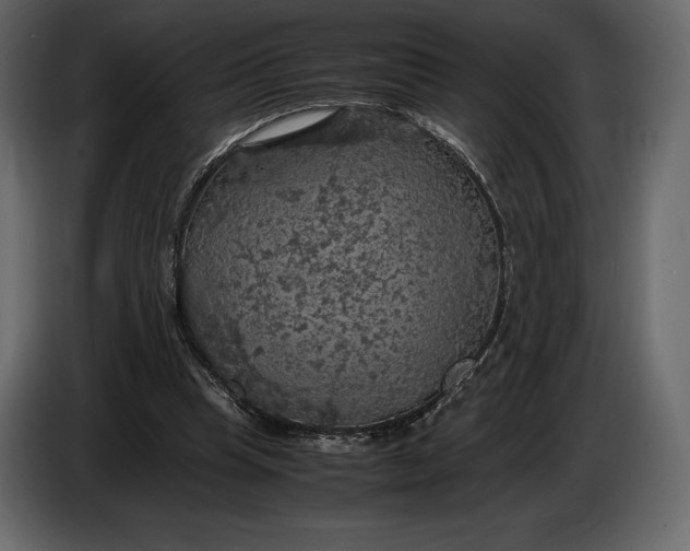 X0000087010345200705071530