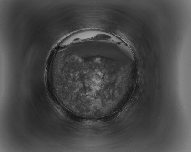 X0000087010346200705071530