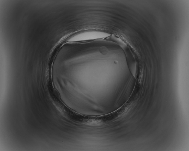 X0000087010348200705071530