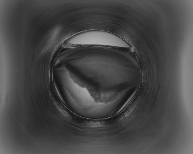 X0000087010349200705071530