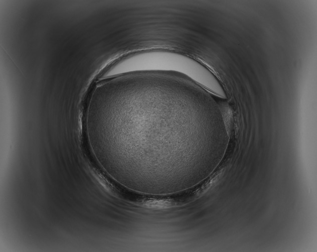 X0000087010350200705071530