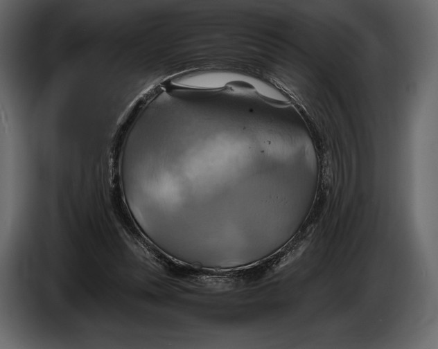 X0000087010351200705071530