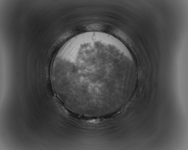 X0000087010353200705071530