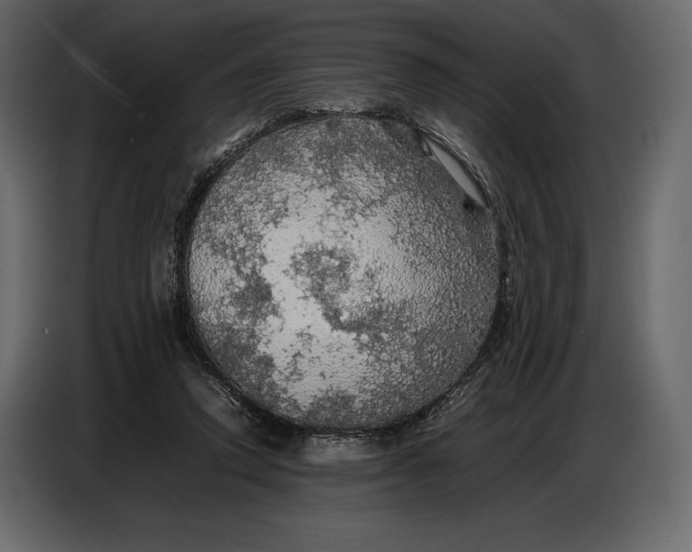 X0000087010354200705071530